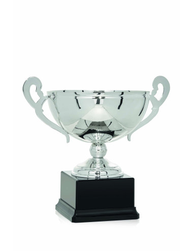 Copa plateada de Abs metalizado sobre base black abs 89-7451