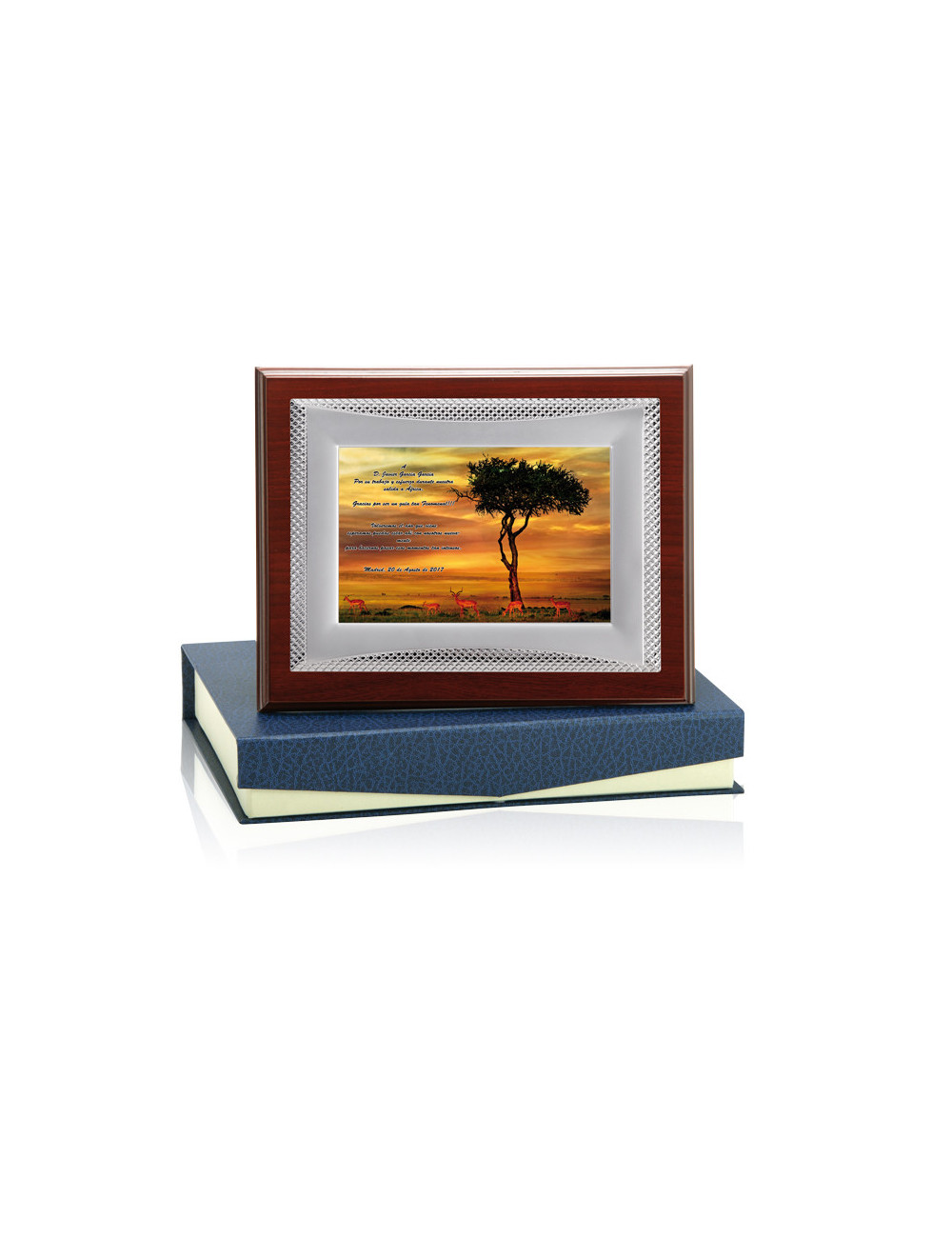 Placa de madera con placa de aluminio con estuche 132-5111E