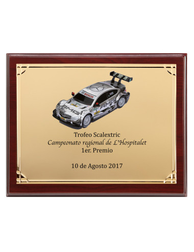 Placa de madera con placa de aluminio con estuche 136-5211E