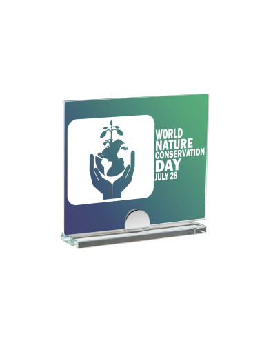 Cristal especial sublimacion 145/24131