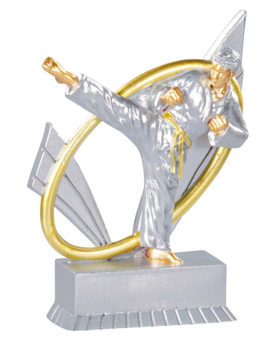Trofeo de resina de Karate 31419