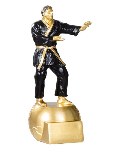 Trofeo de resina karate 71518