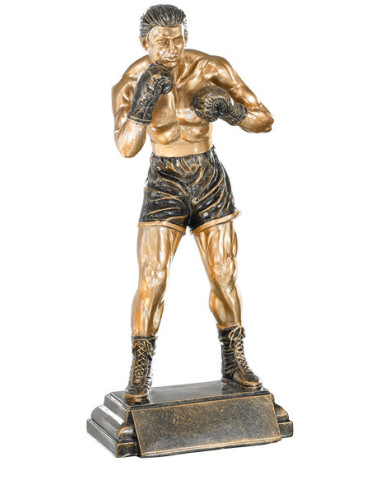 Trofeo de resina Boxeo 196/52535
