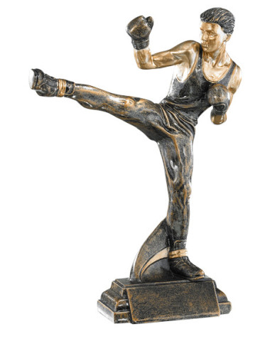 Trofeo de resina Artes marciales 196/52558