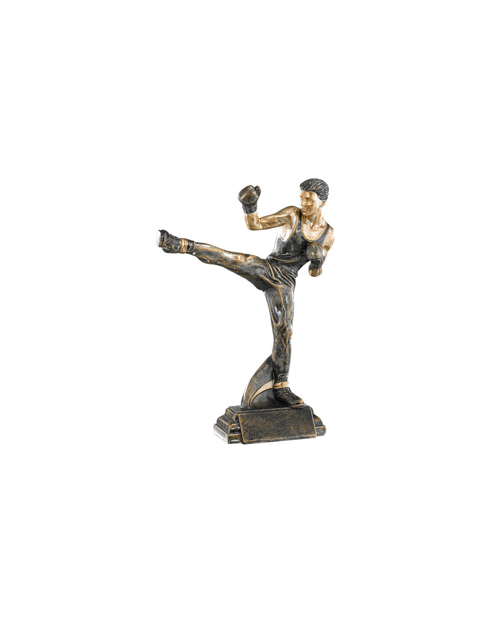 Trofeo de resina Artes marciales 196/52558