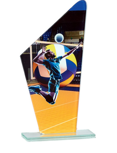 Trofeo de cristal Voleibol 66119